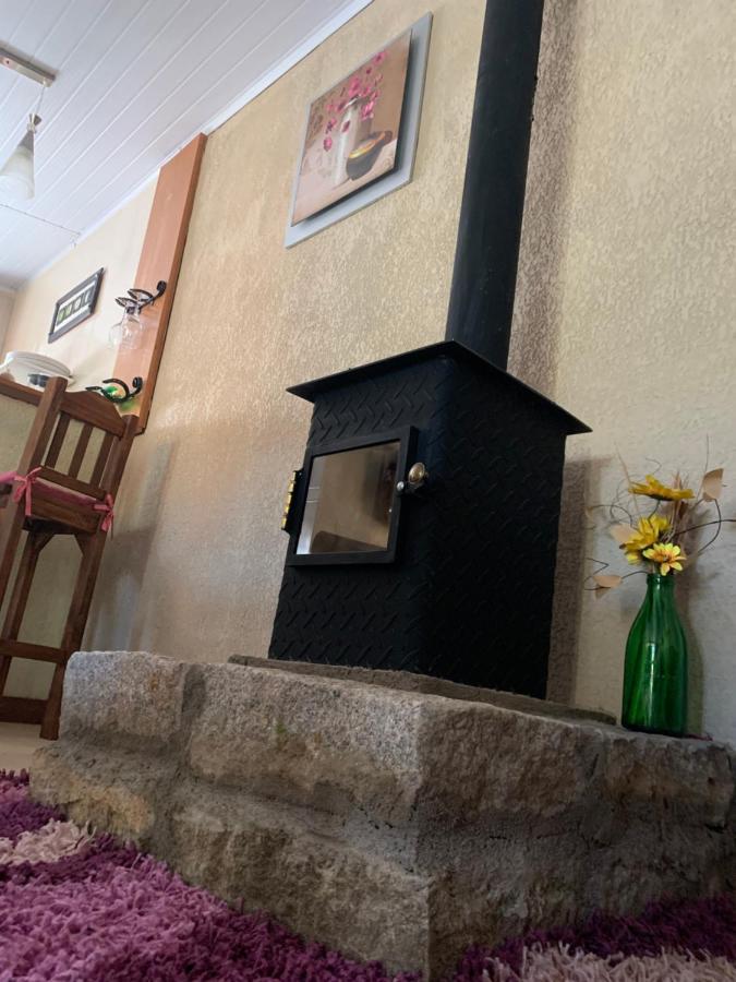 Paz Y Armonía En *