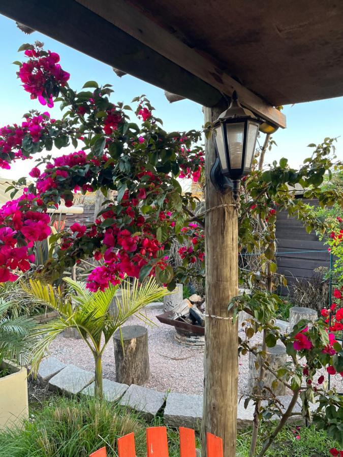 Paz Y Armonía En Сasa de vacaciones Chuy