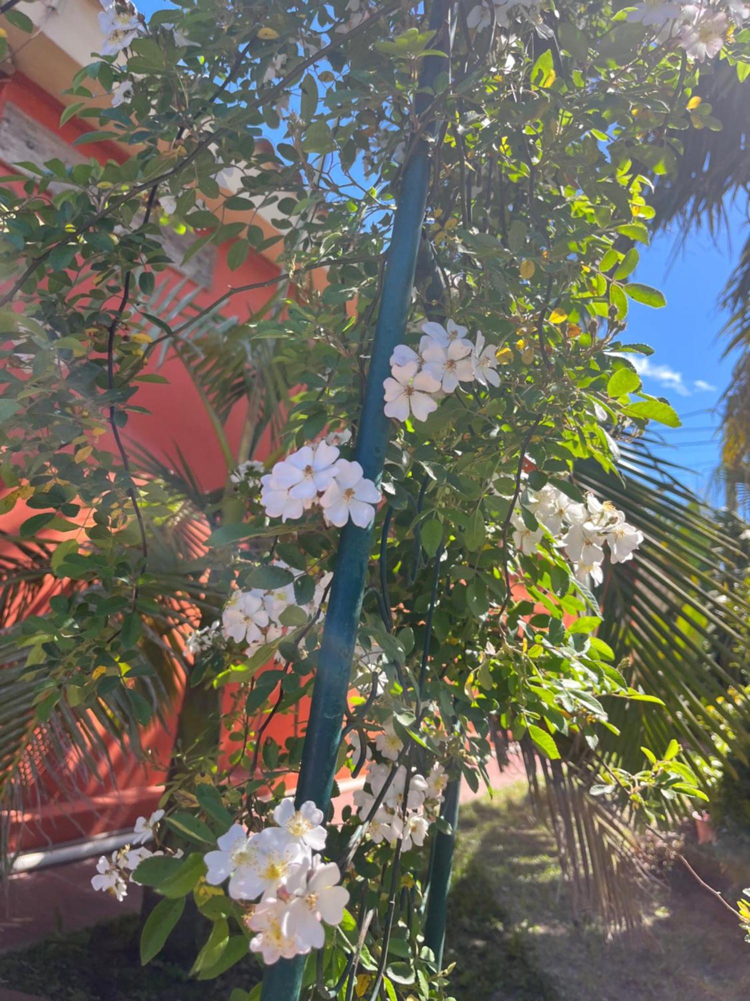 Paz Y Armonía En Сasa de vacaciones